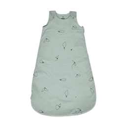 Sleeping Bag